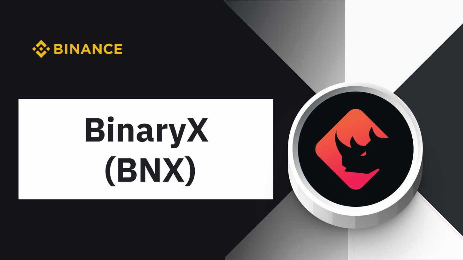 binaryx crypto