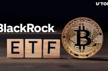 BlackRock's Bitcoin ETF 'Huge Success' By All Metrics, High-Ranking Rep ...