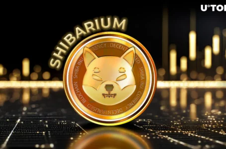 300% Spike in Shiba Inu Token Transaction Fees Stuns Shibarium