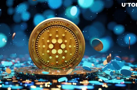Cardano May Transfer $681.9 Million Treasury to ADA Holders: What’s Going On?