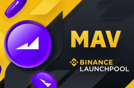 Maverick Protocol Review: All To Know About